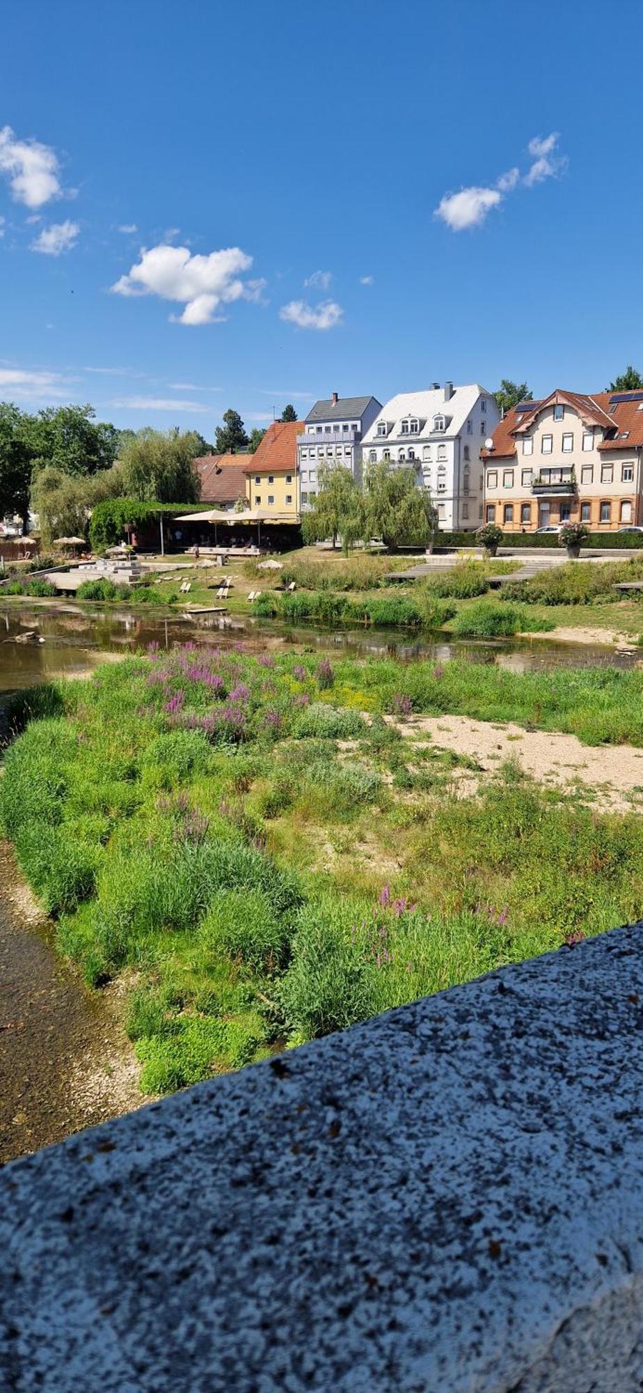 Ferienwohnung Am Donauradweg Tuttlingen Ngoại thất bức ảnh