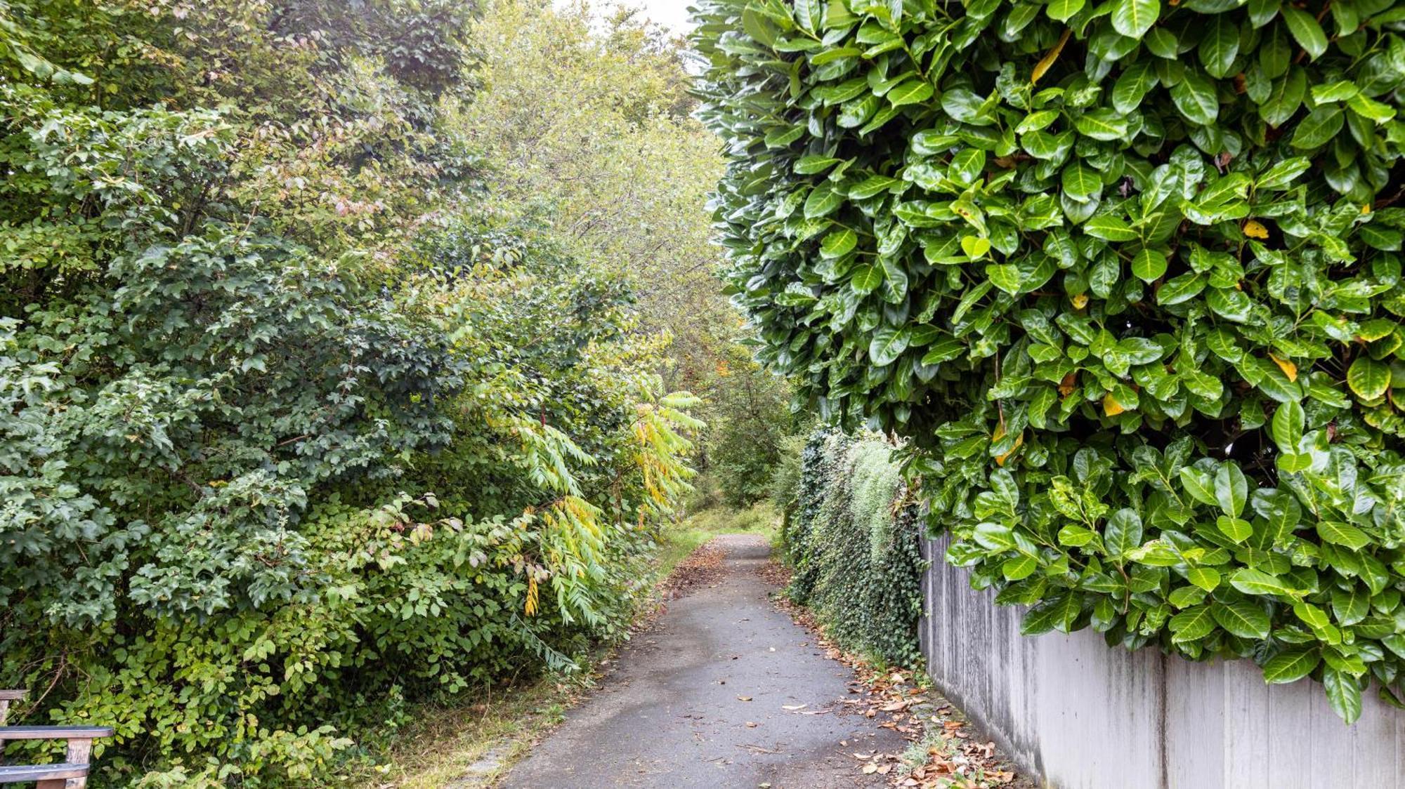 Ferienwohnung Am Donauradweg Tuttlingen Ngoại thất bức ảnh